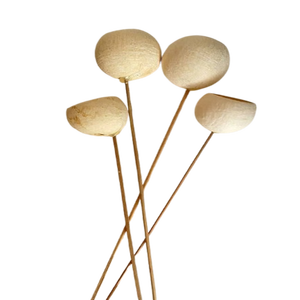 Cloche tasse naturelle séchée sur des bâtons article décoratif de Noël pour la maison avec différentes tailles et couleurs - Product Image 4