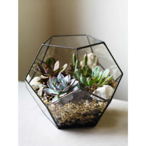 Terrarios de plantas con marco de metal de cristal decorativo geométrico moderno al por mayor tamaños formas personalizadas para la decoración del jardín del hogar - Product Image 5