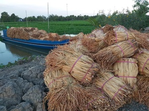 VIET NAM DRIED WATER HYACINTH ROPE RAW MATERIAL for <b>BASKETS</b> BEST QUALITY and Wholesaler Price for Buyer 99GD - Product Image 5