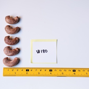 Venta al por Mayor de Nueces de Anacardo Orgánicas Premium Tostadas con Cáscara, 10 kg, Certificación ISO, en Lata Metálica - Product Image 5