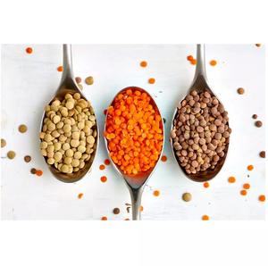 Lentilles rouges séchées biologiques les plus vendues en gros du Brésil - Product Image 1