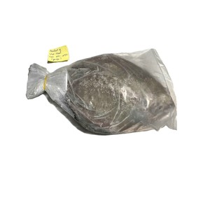 Pomfret negro redondo entero congelado de Vietnam IQF fábrica de mariscos exportador directo pedido a granel disponible - Product Image 4