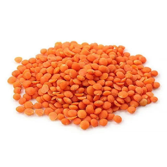 Fresh Red Lentil for sale