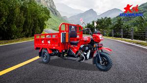 Triciclo barato trimoto carga triciclo adulto fabricante WAW valor competitivo - Product Image 2