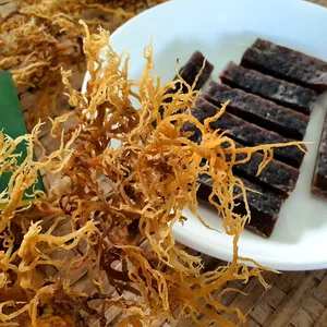 Discounting Price Seamoss/Seaweed Natural Organic Dried Irish Sea Moss Irish Seamoss - Yami