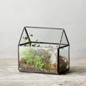 Terrario de vidrio transparente de diseño impresionante para mesa suculenta hogar y oficina decorar planta decorar en acabado negro - Product Image 4