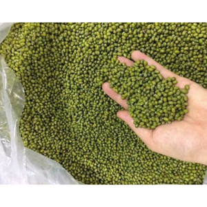 High Quality <b>Green</b> Mung <b>Bean</b> Wholesale From Vietnam / Organic Mung <b>Beans</b> From Vietnam - Product Image 4