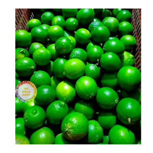 CITRONS FRAIS DE HAUTE QUALITÉ DU VIETNAM FOURNITURE DE FRUITS D'EXPORTATION EN GROS DE MEILLEURE QUALITÉ POUR LE MARCHÉ MONDIAL - Product Image 3