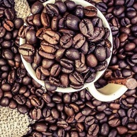 Granos de Café Arábica Verde y Tostado, 100% Natural de Origen Brasileño, Empaque a Granel de 30 kg