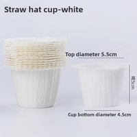 Boîte d'emballage pour cupcakes en gros, transparente, 2/1 trou, boîte d'emballage en plastique pour muffins, bol en plastique de qualité alimentaire