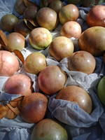 Verse Ster Appel Heerlijk Fruit Met Beste Prijs Goederen Voor Export Naar Vele Markt
