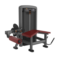 Machine de musculation à charge de plaques pour soulever les épaules latéralement, équipement de gym, machine de soulever les épaules assis