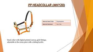 Ensemble de matériel équestre pour chevaux de sport, personnalisable, avec licol, bride et couverture de cheval en nylon rembourré, à motif unique, élégant et durable, et cordes incrustées - Product Image 2