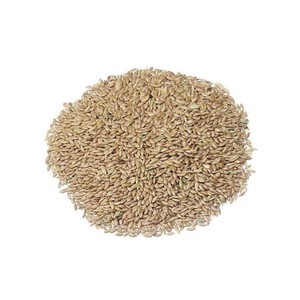 Graine à canaris Aliments pour oiseaux et céréales pour chevaux Bovins Porcs Poisson Qualité d'exportation - Product Image 1