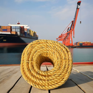 Cordes Danline en polypropylène 4mm-40mm Corde de pêche tressée torsadée Cordes d'emballage en polypropylène imperméables PP/Polyester/Nylon - Product Image 6