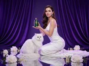 Shampoo pour chat à poils longs VELVETPAW Premium & Shampooing + Après-shampoing 2-en-1 Extrait de camomille Formule soie Pour chats persans et Maine Coon - Product Image 6