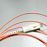 Kabel Patch Fiber Optik Single Mode OM2 SC-SC Diameter 0.81mm Simplex/Duplex untuk FTTH, Panjang Dapat Disesuaikan - Merek DAMU