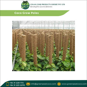 Highly in Demand Hot Selling 100% Natural Coir <b>Wrapped</b> in PP Coco Grow <b>Poles</b> for Supporting Plants at Lowest Price - Product Image 4
