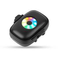 Nueva llegada 4G Pet Tracker Mini tarjeta Sim Compatible con GPS de seguimiento en tiempo real con Collar para mascotas
