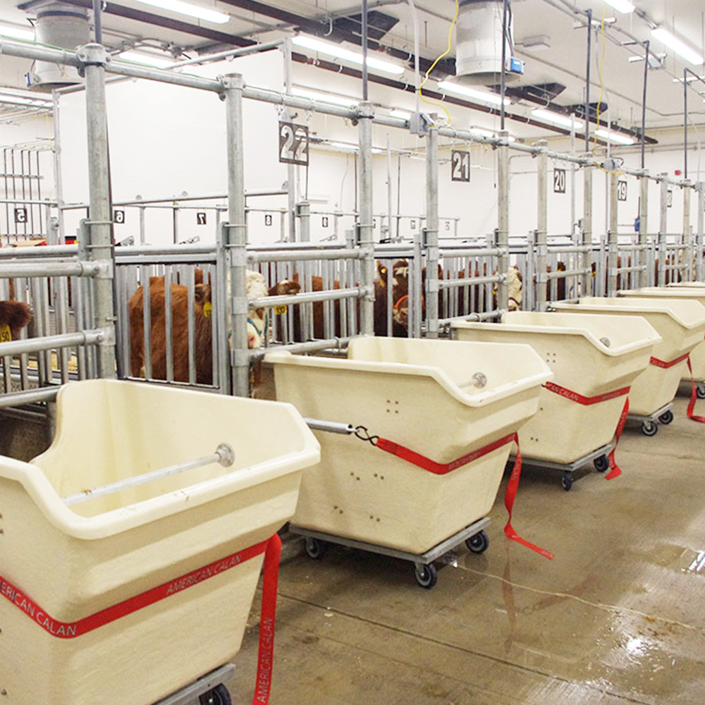 Быка молока коровы молочный крупного рогатого скота животных Ванна корыта кормушки