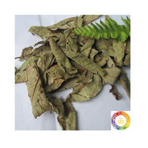 Té de hoja de guayaba natural a granel Mezcla de hierbas de alto grado Suministro al por mayor Embalaje personalizado Té de hoja de guayaba seca para bebida deliciosa - Product Image 4