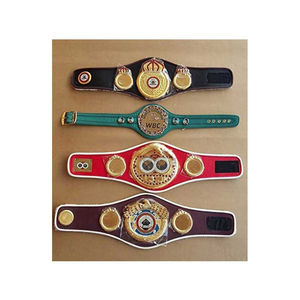 Ceinture de championnat d'entraînement professionnel léger et personnalisé OEM pour le taekwondo et la lutte MMA boxe-Matériau en alliage à taille haute - Product Image 6