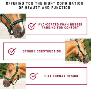 Cabestro de caballo de nailon, relleno suave, gancho de presión ajustable en la garganta de la barbilla, herrajes chapados en latón de alta resistencia, líder de entrenamiento Halter - Product Image 4