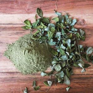 DRIED MORINGA IMPROVES HEALTH and <b>TREATS</b> DISEASES - Product Image 6