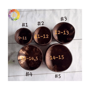 Tazón de coco ligero hecho de 100% cáscaras de coco naturales | Tazón artesanal de alta calidad, muchos tamaños al mejor precio - Product Image 4