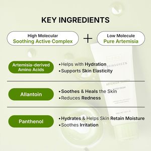 BRING GREEN Artemisia Calming EX Water Cream 100mL Cuidado DE LA PIEL coreano Calmante Hidratante Hidratación profunda Boost Hidratante - Product Image 4