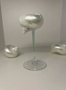 Copa de vino Real Seashell pulida y empaquetada para hoteles, bodas y tiendas minoristas - Product Image 3