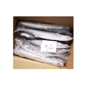Pescado Barracuda Congelado de Grado de Exportación, Suministrado a Granel con Entrega en Cadena de Frío Confiable - Product Image 3