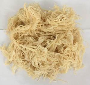 Mousse de mer séchée naturelle, vente en gros, Eucheuma Cottonii, algues, Akina - Product Image 5
