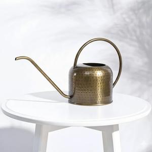 Arrosoir en métal forgé argenté finition antique pour usage intérieur et extérieur, anti-fuite - Product Image 2