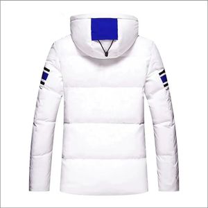 Veste bomber à capuche zippée légère pour homme, style streetwear, motif toile, haute qualité, manteau d'hiver - Product Image 2