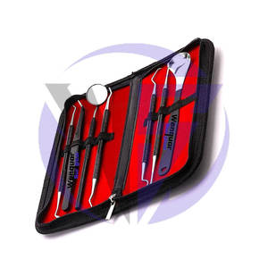 Instrumentos Dentales Ultrasónicos Profesionales Wenquar, 7 Piezas de Acero Inoxidable Duradero con Estuche con Cremallera de Fácil Mantenimiento - Product Image 5