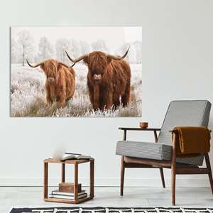 Impresión en lienzo de vaca de las Tierras Altas: Elegante arte de pared para casa de campo, arte en vidrio templado - Product Image 1