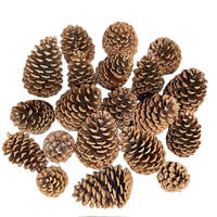 Pinecone dekorasi Natal alami dalam Grosir harga Pinecone untuk kamar dan pesta dekorasi alami kering pinecone