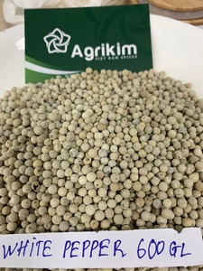 Pimienta negra al mejor precio de fabricante confiable de Vietnam Especias y hierbas individuales 550MC 500FAQ 5MM + 84 35 9169566 - Product Image 5