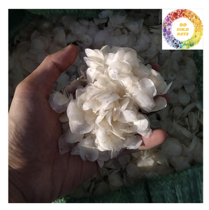 เครื่องชั่งปลากะพงแห้งคุณภาพระดับพรีเมี่ยมจากเวียดนาม - Product Image 3