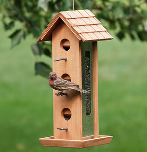 Estación Inteligente de Alimentación para Mascotas con Cámara/Báscula Integradas - Product Image 2