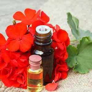 Bulk Wholesale Organic Rose Geranium <b>Essential</b> <b>Oil</b> | 100% Pure <b>Oil</b> Anti-Wrinkle Whitening Skin Hair Care | OEM/Private Label - Product Image 2