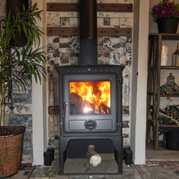 15KW Grand antique en fonte insertions brûlantes en bois de cheminée de HS-X9L
