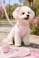 Ensemble de harnais réglable anti-traction pour chien, gilet respirant pour animaux de compagnie avec laisse à libération rapide pour chiens de petite, moyenne et grande taille OEM ODM