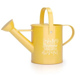 Maceta de Metal galvanizado para riego de plantas de interior, maceta para plantas de interior y exterior, flores, casa y jardín - Product Image 1