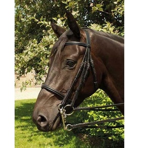 Brida doble de cuero inglés-Brida de caballo de cuero elegante de calidad superior negra con costuras elegantes para montar a caballo - Product Image 1