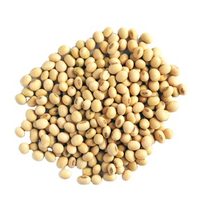 Harina de soja 60%, proteína para alimentación Animal - Product Image 1