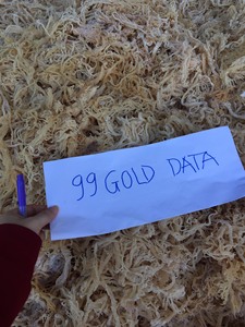 Algas Marinas al por mayor con varios tipos de seamoss saladas/sin sal a granel a precios al por mayor - Product Image 5