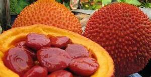 เมล็ด GAC ธรรมชาติที่อุดมไปด้วยไฟโตนิวเทรียนท์สำหรับภูมิคุ้มกันจากพืชช่วยเพิ่มความสมดุลของผิวหนังและร่างกาย - Product Image 4