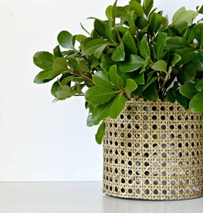 Handmade Planters Customized Design & Size Decorative Net Planters Rattan Net Planters Flower Pots for Indoor Outdoor Planting - Product Image 2